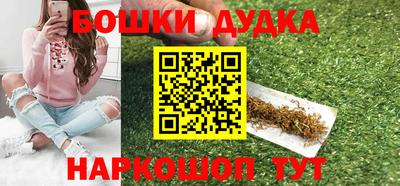 гидра Заводоуковск