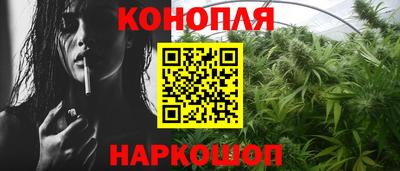 гидра Заводоуковск