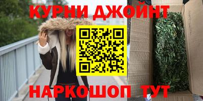 гидра Заводоуковск