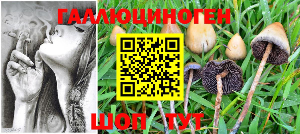 где найти   Галлюциногенные грибы MAGIC MUSHROOMS  Михайловка  Вход с VPN  Псилоцибиновые грибы прущие грибы 